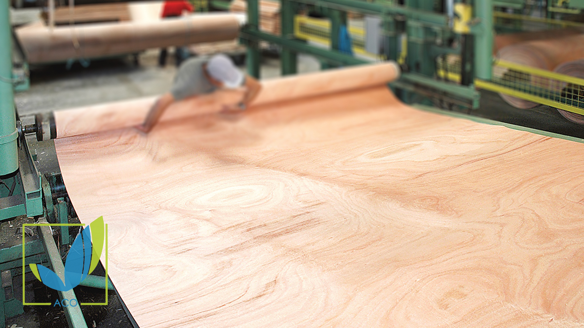 hardwood and softwood plywood